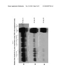 Use of Anaerobic Digestion to Destroy Biohazards and to Enhance Biogas Production diagram and image