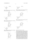 Polymerisation of Ethylene and Alpha Olefins with Single Site Catalysts having an Anionic Scorpion-Like Ligand diagram and image