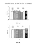 Catalyst For Hydrogen Production By Autothermal Reforming, Method Of Making Same And Use Thereof diagram and image