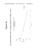 PEPTIDOMIMETIC MACROCYCLES WITH IMPROVED PROPERTIES diagram and image