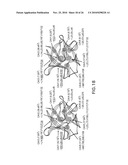 FIBROBLAST GROWTH FACTOR MUTANTS HAVING IMPROVED FUNCTIONAL HALF-LIFE AND METHODS OF THEIR USE diagram and image