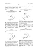 2-PHENOXY NICOTINE ACID DERIVATIVE AND USE THEREOF diagram and image