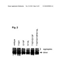 SOLUBLE GP130 MUTEINS WITH IMPROVED BINDING ACTIVITY diagram and image