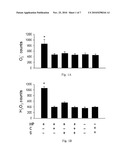 COMPOSITION FOR THE PREVENTION AND THE TREATMENT OF HELICOBACTER PYLORI INFECTION diagram and image