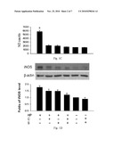 COMPOSITION FOR THE PREVENTION AND THE TREATMENT OF HELICOBACTER PYLORI INFECTION diagram and image