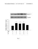 COMPOSITION FOR THE PREVENTION AND THE TREATMENT OF HELICOBACTER PYLORI INFECTION diagram and image