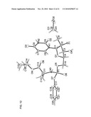 NUCLEOSIDE PHOSPHORAMIDATES diagram and image