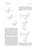 NUCLEOSIDE PHOSPHORAMIDATES diagram and image