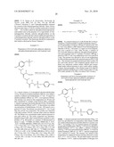 NUCLEOSIDE PHOSPHORAMIDATES diagram and image