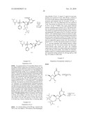 NUCLEOSIDE PHOSPHORAMIDATES diagram and image