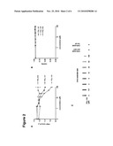 Compounds for the Modulation of Huntingtin Aggregation, Methods and Means for Identifying Such Compounds diagram and image