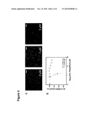 Compounds for the Modulation of Huntingtin Aggregation, Methods and Means for Identifying Such Compounds diagram and image