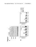 Compounds for the Modulation of Huntingtin Aggregation, Methods and Means for Identifying Such Compounds diagram and image