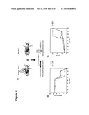 Compounds for the Modulation of Huntingtin Aggregation, Methods and Means for Identifying Such Compounds diagram and image