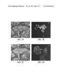 INHIBITION OF LETHAL FACTOR PROTEASE ACTIVITY FROM ANTHRAX TOXIN diagram and image