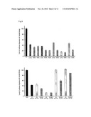 LIPID-MODIFIED DOUBLE-STRANDED RNA HAVING POTENT RNA INTERFERENCE EFFECT diagram and image