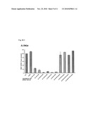 LIPID-MODIFIED DOUBLE-STRANDED RNA HAVING POTENT RNA INTERFERENCE EFFECT diagram and image