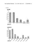 LIPID-MODIFIED DOUBLE-STRANDED RNA HAVING POTENT RNA INTERFERENCE EFFECT diagram and image