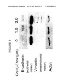 TARGETED SCHIFF BASE COMPLEXES diagram and image