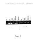 Use of Tocotrienols for Elevating IKBKAP Gene Expression and Treating Familial Dysautonomia diagram and image