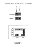 Use of Tocotrienols for Elevating IKBKAP Gene Expression and Treating Familial Dysautonomia diagram and image