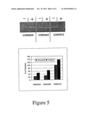 Use of Tocotrienols for Elevating IKBKAP Gene Expression and Treating Familial Dysautonomia diagram and image