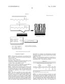  NOVEL LIVING RADICAL POLYMERIZATION METHOD USING A PHOSPHORUS COMPOUND OR NITROGEN COMPOUND AS A CATALYST diagram and image