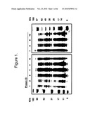 Protein Scaffolds diagram and image