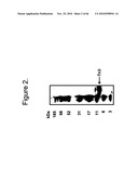 Protein Scaffolds diagram and image