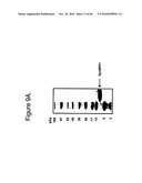 Protein Scaffolds diagram and image