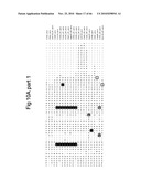 Protein Scaffolds diagram and image