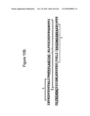 Protein Scaffolds diagram and image