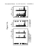 Protein Scaffolds diagram and image