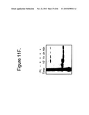 Protein Scaffolds diagram and image