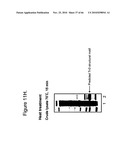 Protein Scaffolds diagram and image