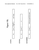 Protein Scaffolds diagram and image