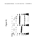 Protein Scaffolds diagram and image