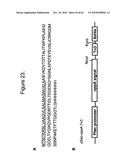 Protein Scaffolds diagram and image