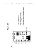 Protein Scaffolds diagram and image