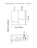 Protein Scaffolds diagram and image