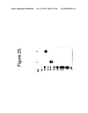 Protein Scaffolds diagram and image