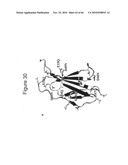 Protein Scaffolds diagram and image