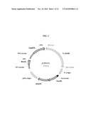 ENGINEERED BIOSYNTHESIS OF FATTY ALCOHOLS diagram and image