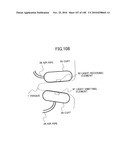 LIVING BODY INFORMATION DETECTION APPARATUS AND BLOOD-PRESSURE METER diagram and image