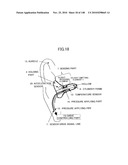 LIVING BODY INFORMATION DETECTION APPARATUS AND BLOOD-PRESSURE METER diagram and image