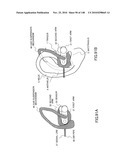 LIVING BODY INFORMATION DETECTION APPARATUS AND BLOOD-PRESSURE METER diagram and image