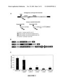 Reversible siRNA-Based Silencing of Mutant and Endogenous Wild-Type Huntingtin Gene and its Application for the Treatment of Huntington s Disease diagram and image