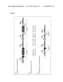 MEANS AND METHODS FOR shRNA MEDIATED CONDITIONAL KNOCKDOWN OF GENES diagram and image
