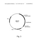 Polypeptides having Cellulolytic Enhancing Activity and Polynucleotides Encoding Same diagram and image