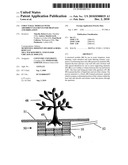 Structural Modules With Absorbent Elements For Drainage and Irrigation diagram and image